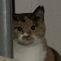 サブ林