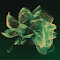 vizrvyo3UDQ-channel-avatar-Botanic.