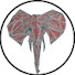wAwdoeOOMVo-channel-avatar-Cartago TV Informes