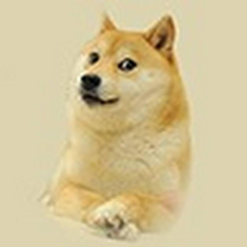 Shiba Inu Movies