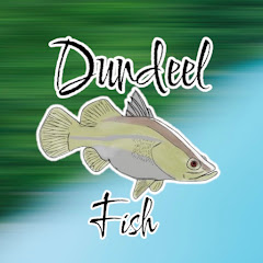 Dundeel Fish net worth