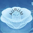 lnd_8qz6dkg-channel-avatar-Aurum