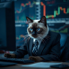 前田康人のバイナリーオプション極