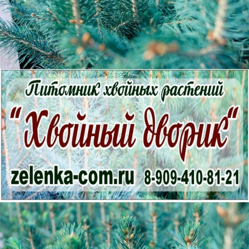 Евгений Филимонов - Выращивание хвойных растений Logo