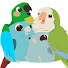 72ke2zFuan4-channel-avatar-Flock-Talk