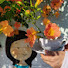 Channel Image