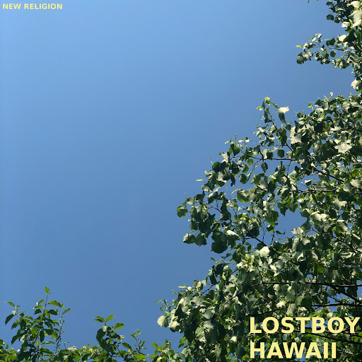 Lostboy - Topic