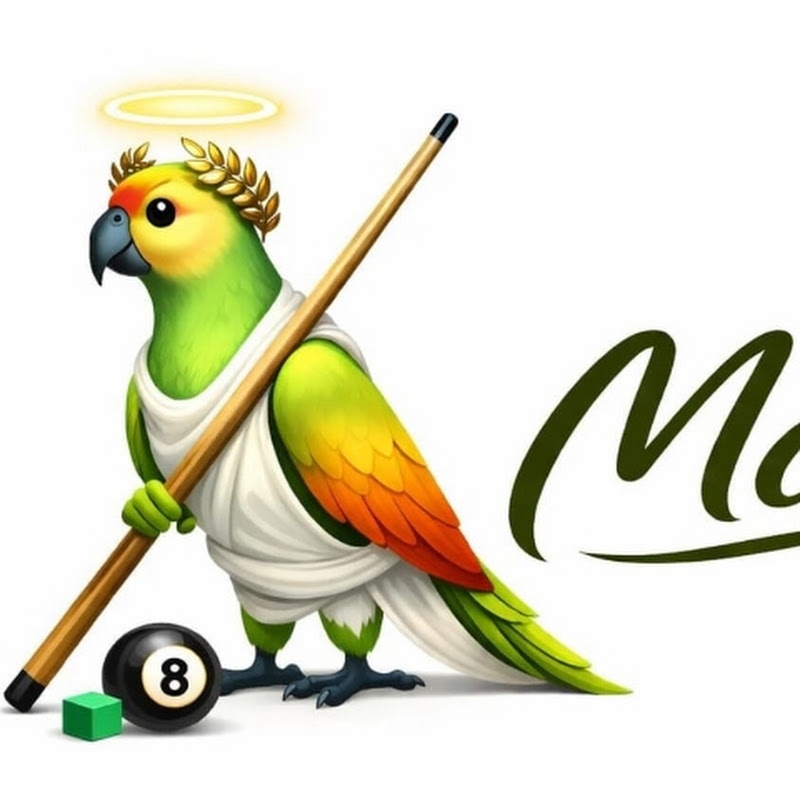 Image of channel the BirdMan Billiards 1
