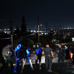 CALIFIELD LIVES net worth