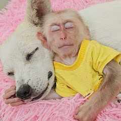 Monkey Su