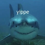 Gamer shark 🦈