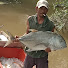 tUbKfZft4fQ-channel-avatar-Roy Fishing