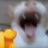 @MonsieurBababoeyplayz