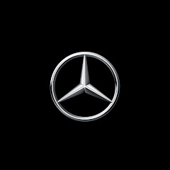 Mercedes-Benz Brasil net worth