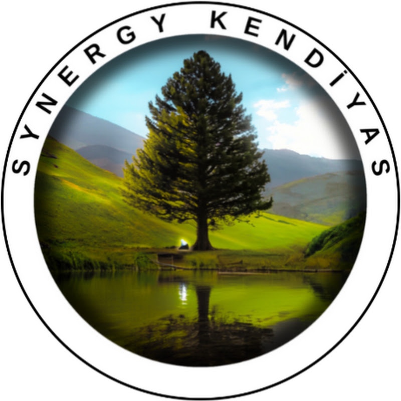 Synergy Kendiyas