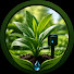 yJS16uezDZY-channel-avatar-Inteligentny ogród and Idealne Rośliny