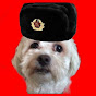 Benji the soviet dog logo