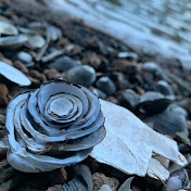 Wild Encounters ASMR