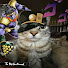 Hs3W1Rl-MRg-channel-avatar-Roblox Tok