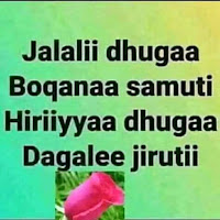 Profile Picture of Sadiq Aliyi