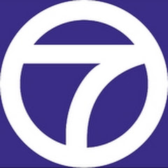 David's TV and Commercial Archives