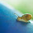 DFWDTgj_rYQ-channel-avatar-Snail Travelers