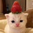 @lolo-231jl