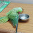 Kittu Parrot