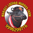 ai0XeYyjCLE-channel-avatar- Manjeet lochab Murrha farm