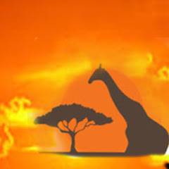 King Wild Animals avatar