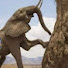 Jv6tdb_02xo-channel-avatar-Kevo thuo mapesa
