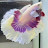 @Rebeccaho2155 Avatar