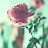 @나무-u7e3r
