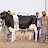 Bhullar Dairy Farm