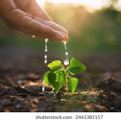 Letsgrow