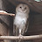 @random_barn_owl6915