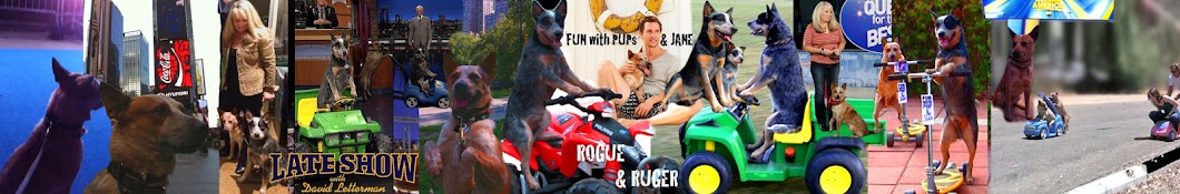 Fun with Pup & Jane यूट्यूब चैनल अवतार