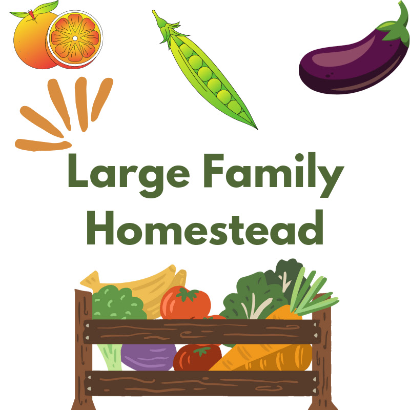 Large Family Homestead