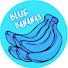 AAV58JbRUxg-channel-avatar-BlueBananas