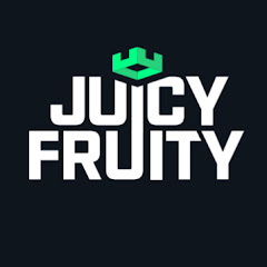 JuicyFruityyy net worth