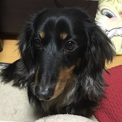 ジャックのさんぽみち
