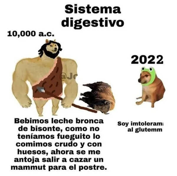aQsILj4pWzLKmSzg7i-ez4Z7ym0VeQLii7zOTv4AeWTAng_pfg4XWaKAgI7sDhF0tJStQpcgWhZrIJk=s600-nd-v1