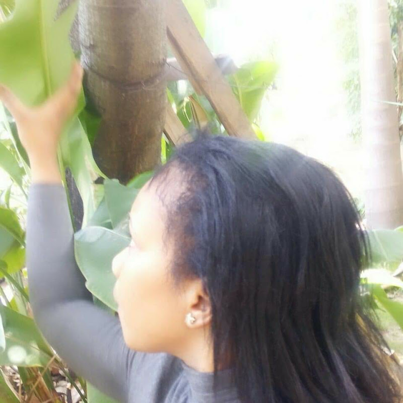 Nikita Jamaica 🇯🇲