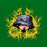 EA0jdWPfFWc-channel-avatar-Limp Bizkit Brasil