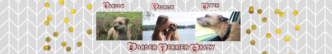 Border Terrier Crazy Awatar kanału YouTube