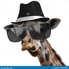 GiraffePaparazzi