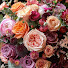KOtVwJHU9gI-channel-avatar-Home among the Roses