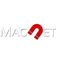 Magnet VFX net worth
