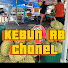 HDbGXhd21J4-channel-avatar-KEBUN RB 