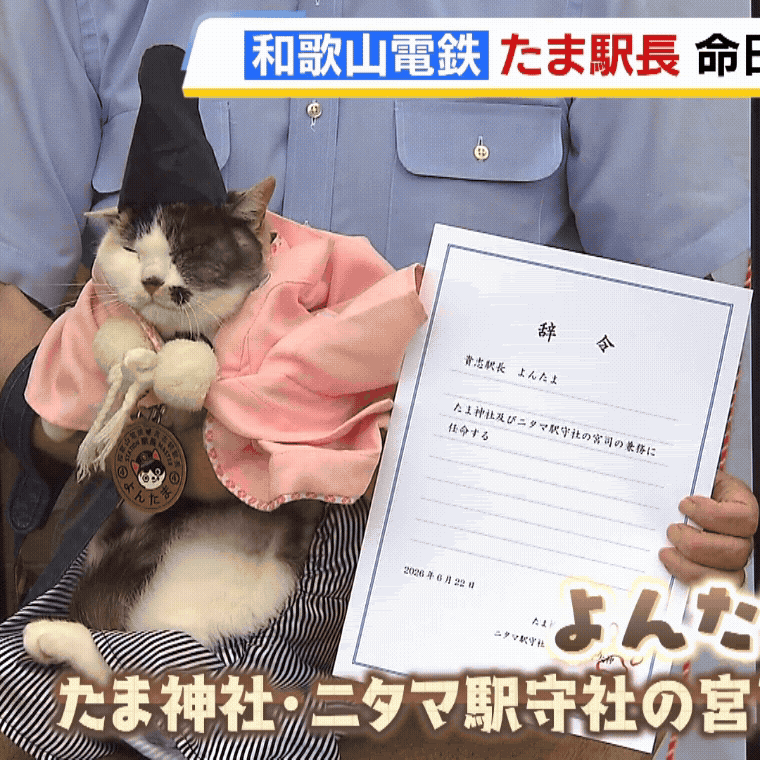Post from MBS NEWS - YouTube